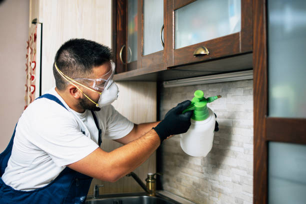 Best Pest Prevention Services  in Woodlake, VA