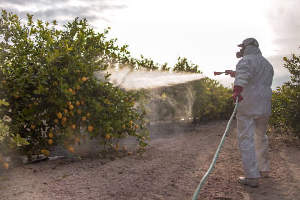 Pest Prevention Services in Woodlake, VA