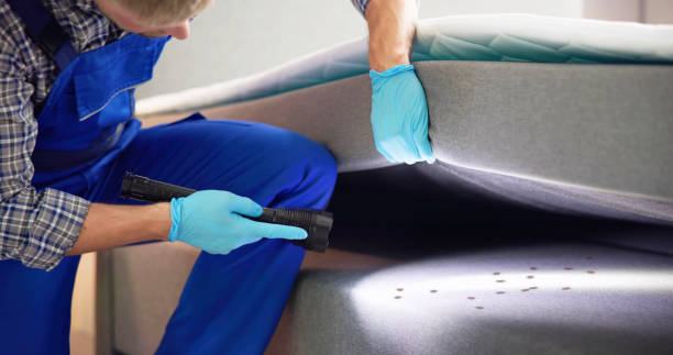 Best Best Pest Control Companies  in Woodlake, VA