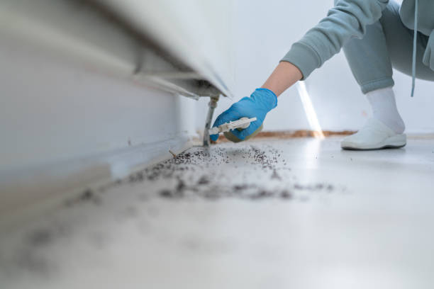 Best Mosquito Control Services  in Woodlake, VA